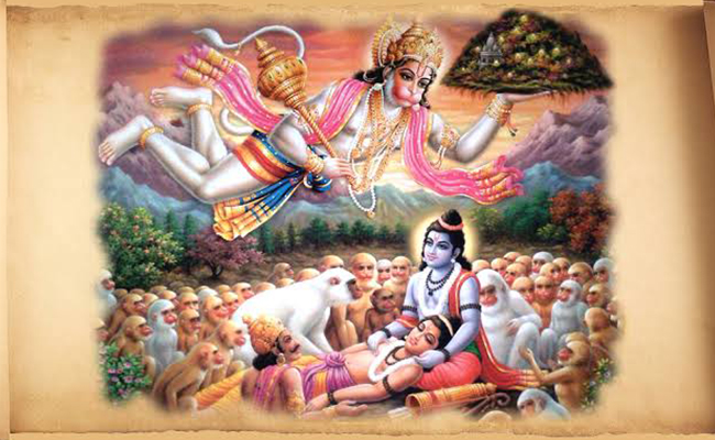 Sanjeevani Plants Significance in India