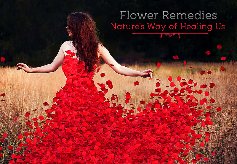 a girl feeling happy and refreshed with Red Rose Petals a girl feeling happy and refreshed with Red Rose Petals