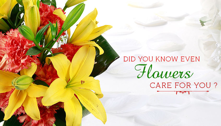 Flowers care for you, Flowers and their health benefits Flowers care for you, Flowers and their health benefits