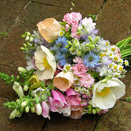 Uses of Foxglove flowers and its health benefits Uses of Foxglove flowers and its health benefits