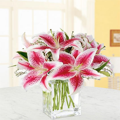 Lily flowers uses and health benefits Lily flowers uses and health benefits