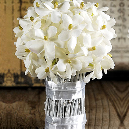 Jasmine flowers uses and health benefits Jasmine flowers uses and health benefits