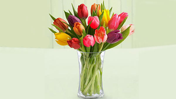 Tulips A better example of vibrant spring flower Tulips A better example of vibrant spring flower