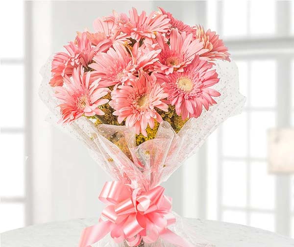 Gerberas - Gift Gerberas in Spring that symbolizes cheerfulness, happiness, and innocence Gerberas - Gift Gerberas in Spring that symbolizes cheerfulness, happiness, and innocence