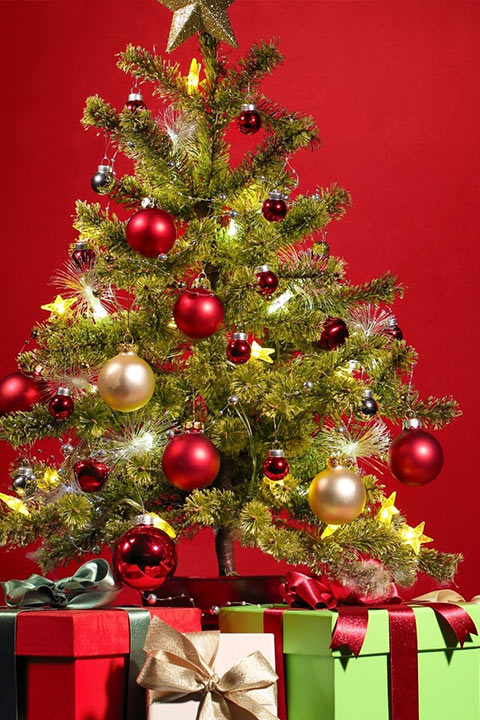 A classic Christmas tree made up of star at top and star and ball on each branch