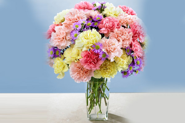 January Birthday Flowers: Carnations