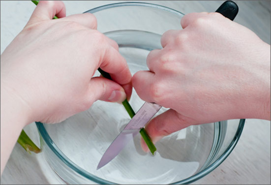 Cutting flower stems underwater to make flower long lasting Cutting flower stems underwater to make flower long lasting