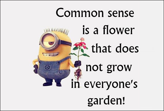 A philosophical friend minion - One who has answer for everything A philosophical friend minion - One who has answer for everything