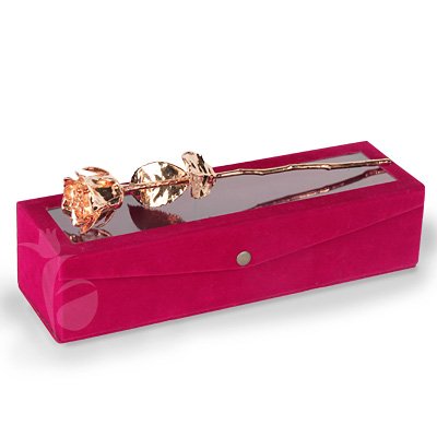 A Beautiful Royal Rose as a LDR Valentine Gift A Beautiful Royal Rose as a LDR Valentine Gift