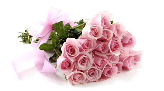 7 Stages of Love with Roses – Stage 3 – Attraction – Pink Roses 7 Stages of Love with Roses – Stage 3 – Attraction – Pink Roses