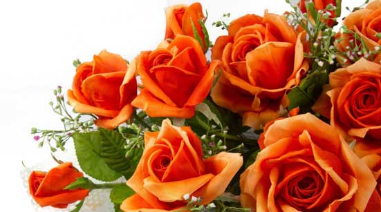 7 Stages of Love with Roses – Stage 6 – Reaffirmation – Orange Roses 7 Stages of Love with Roses – Stage 6 – Reaffirmation – Orange Roses