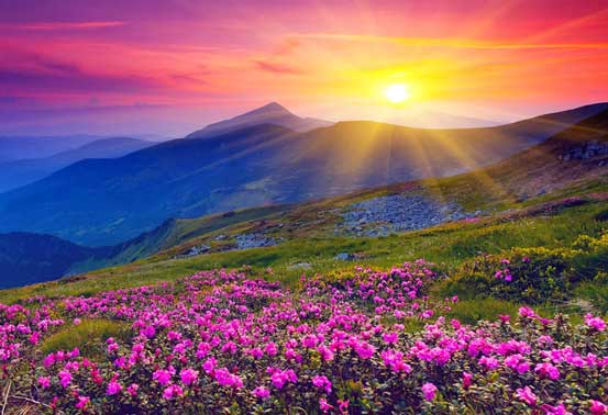 VALLEY OF FLOWERS- UTTARAKHAND VALLEY OF FLOWERS- UTTARAKHAND