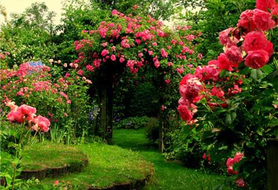 Nehru Rose Garden - LUDHIANA