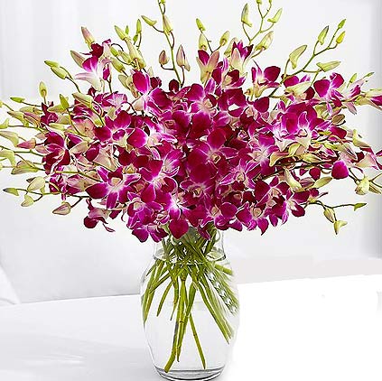Orchid flower is for trendsetter mothers Orchid flower is for trendsetter mothers