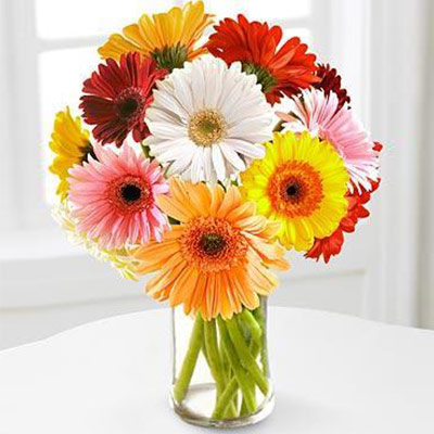 Mother's Aura - Mothers Day Flower 