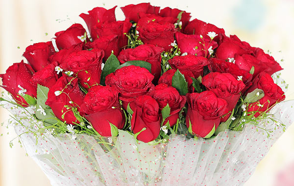 24 Roses meaning - What it signifies 24 Roses meaning - What it signifies
