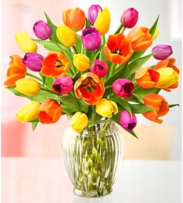 Tulips -  A perfect flower for date night symbolizing “perfect love