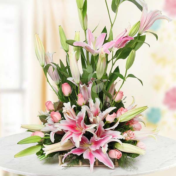 Laudable Lilies Flower Scent - Their grace and elegance is certain to lift spirits Laudable Lilies Flower Scent - Their grace and elegance is certain to lift spirits