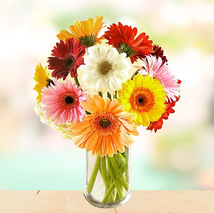 Daisy flowers and sentiments behind gifting them Daisy flowers and sentiments behind gifting them