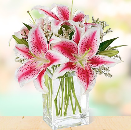 Lily flowers and sentiments behind gifting them