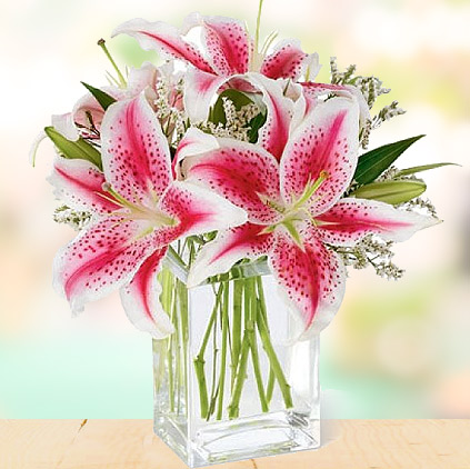 Lily flowers and sentiments behind gifting them Lily flowers and sentiments behind gifting them