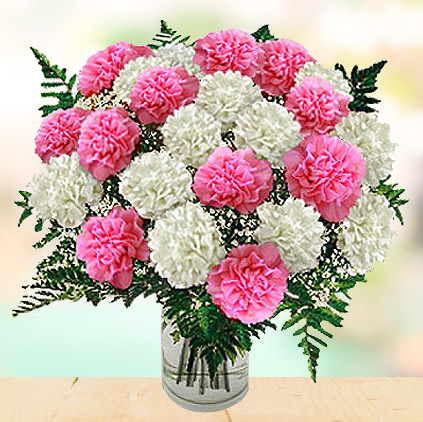 Carnation flowers and sentiments behind gifting them Carnation flowers and sentiments behind gifting them