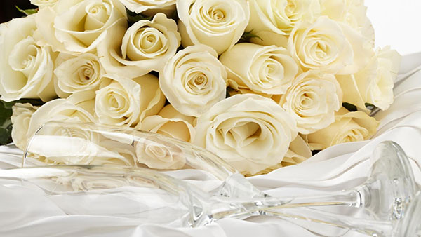 What White color of rose means What White color of rose means
