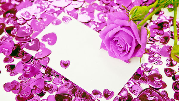 What Lavender color of rose means What Lavender color of rose means