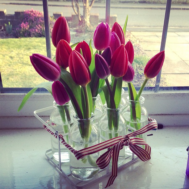 Beautiful red tulips in glass bottles Beautiful red tulips in glass bottles