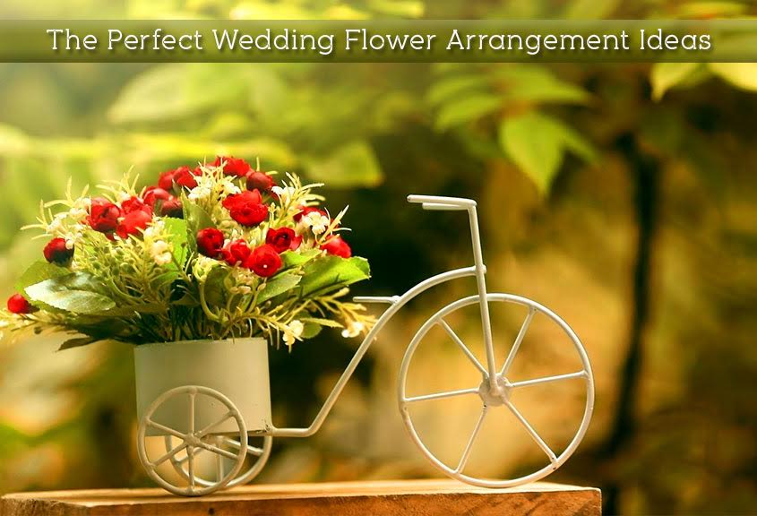 Gorgeous Red Flower in a Showpiece Cycle Basket Gorgeous Red Flower in a Showpiece Cycle Basket