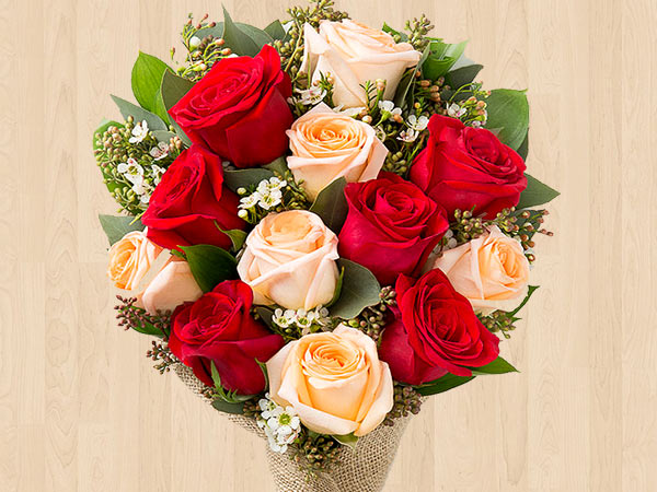 Red rose flowers the indicators of love and romance