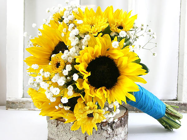 Sunflowers for the friends Sunflowers for the friends