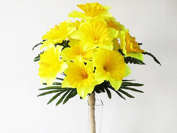 Daffodil flowers for sister Daffodil flowers for sister