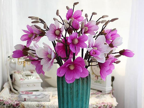 Mangolia flower for the empowered women Mangolia flower for the empowered women