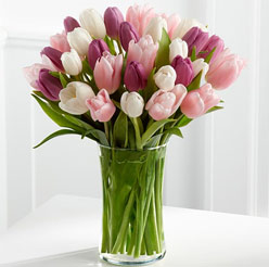Bouquet of Tulips - Perfect flower for Zodiac sign Aries Bouquet of Tulips - Perfect flower for Zodiac sign Aries