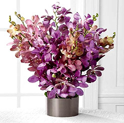 Bouquet of purple orchids - Perfect flower for Zodiac sign Gemini