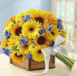 Bouquet of yellow Daisy - Perfect flower for Zodiac sign Leo