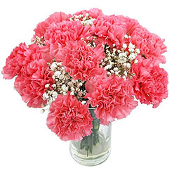 Bouquet of pink Carnation - Perfect flower for Zodiac sign Sagittarius Bouquet of pink Carnation - Perfect flower for Zodiac sign Sagittarius